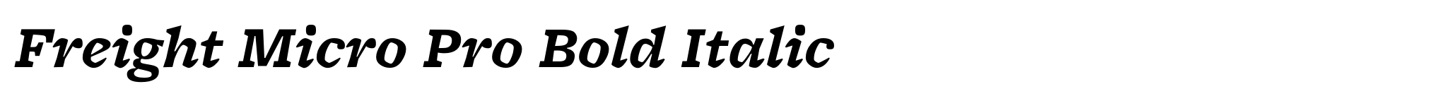 Freight Micro Pro Bold Italic image